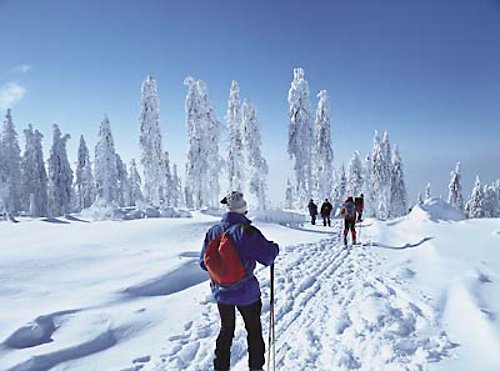 Schneesituation im Bayerischen Wald entspannt sich