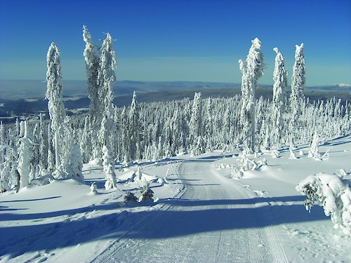 Winterurlaub im Haus Bayerwald