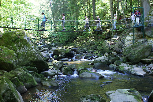 Schwäbischer Albverein Remshalden im Bayerischen Wald