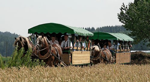 Jahrgangsfahrt zum Hotel Beinbauer