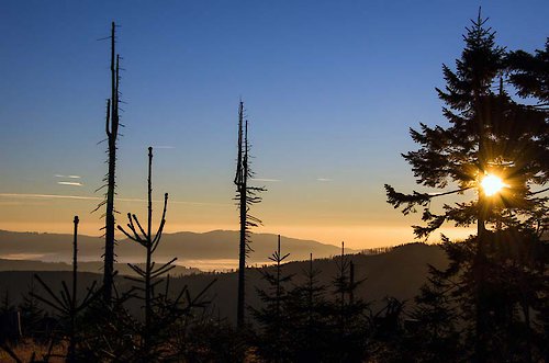 Kurzurlaub im Bayerischen Wald