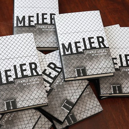 Buchvorstellung: Meier ist schonungslos, hart und spannend.