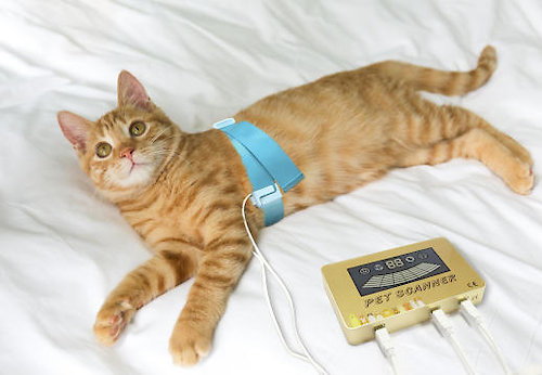 PETSCANNER BIORESONANZANALYSE FÜR HUNDE & KATZEN
