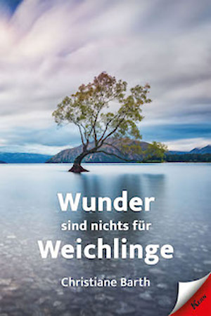 Was nach der Krise kommt