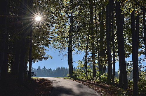 Entspannter Sommerurlaub 2020 im Bayerischen Wald