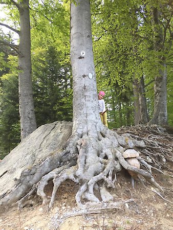 "Aus"-Zeit genießen! Endecke eine Lieblingsstelle, einen Lieblingseindruck in Bayerns ältestem Gebirge!