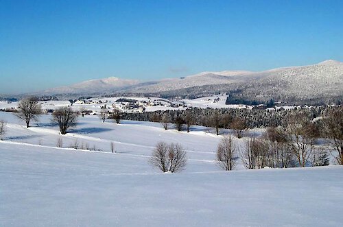 Traumhafter Winterurlaub 2021/2022 in Bayern