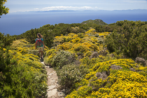 Mai-Wanderungen am Kap von Sant’Andrea