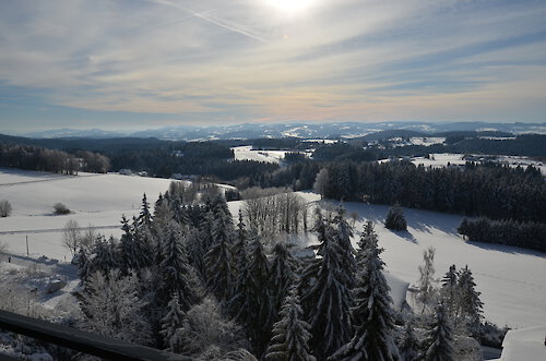 Weihnachtsgruß