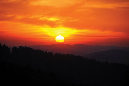 Frühling im Bayerischen Wald
