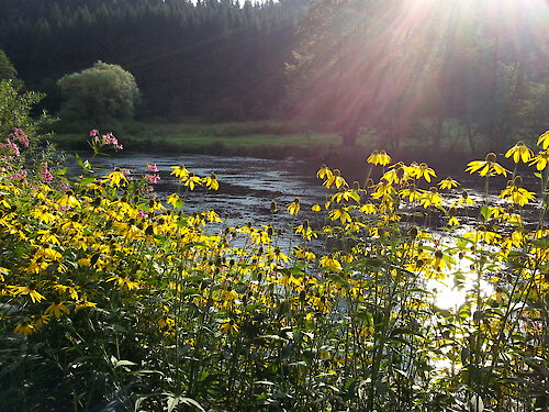 Wandern Bayerischer Wald Nationalpark