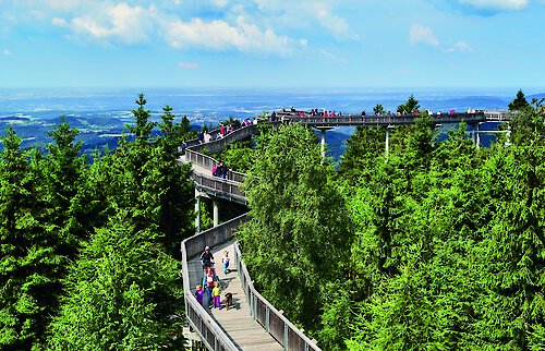 Wandern im Bayerischen Wald