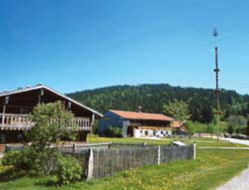 Maibaumaufstellen im Bayerischen Wald