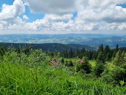 Landesgartenschau in Freyung ist eröffnet