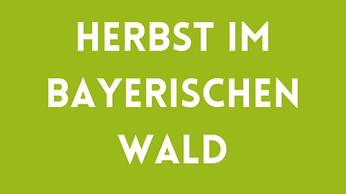 Herbst im Bayerischen Wald!