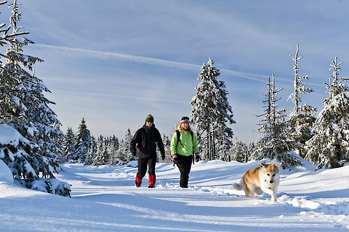 Winterurlaub in Bodenmais im Bayerischen Wald