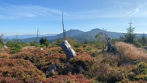 Der wunderbare Bayerische Wald und seine Menschen