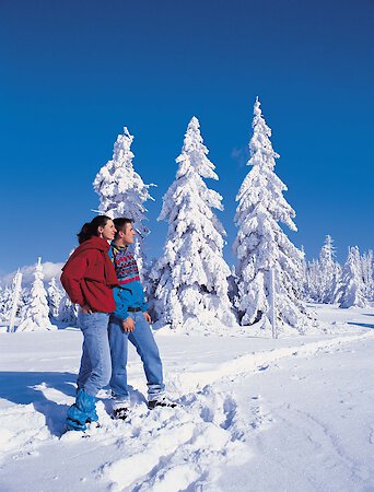Hütten im Bayerischen Wald zwischen den Ferien buchen