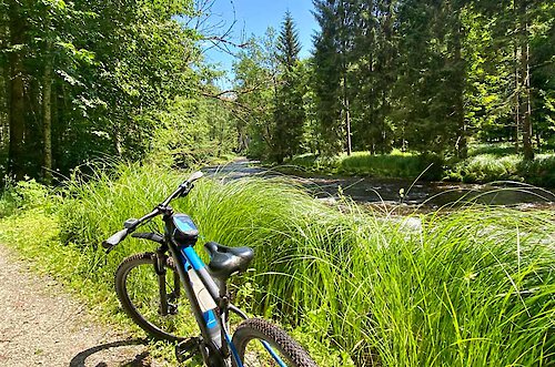 Radeln & Mountainbiken im Bayerischen Wald