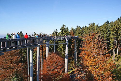 Baumwipfelwege Bayerischer Wald