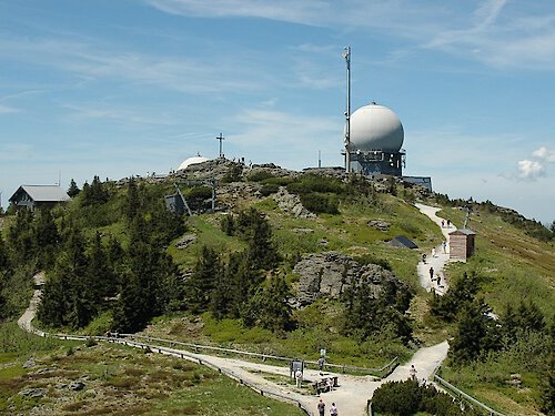 Der König des Bayerischen Waldes
