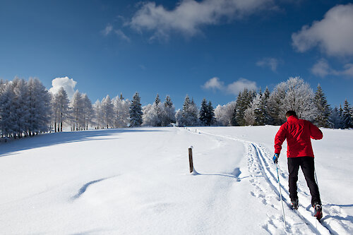 Winteraktivitäten im Bayerischen Wald