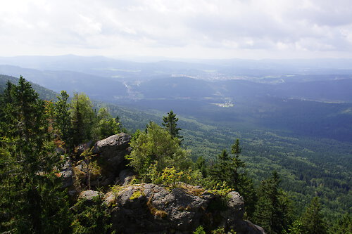 Urlaub im Bayerischen Wald: Ferienwohnungen als beliebte Unterkunftsoption