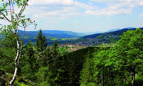 Ferienhäuser in Bodenmais als idealer Rückzugsort im Bayerischen Wald