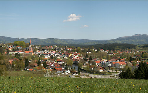 Frühling und Sommer im Bayerischen Wald - beliebter Ferientrend