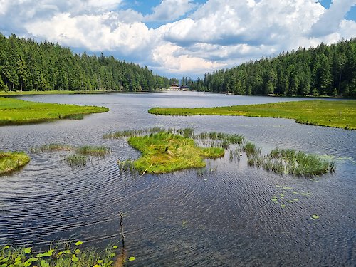 Arbersee