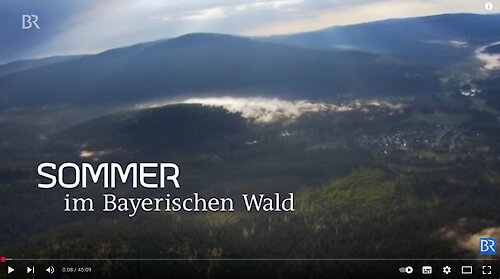 Sommer im Bayerischen Wald