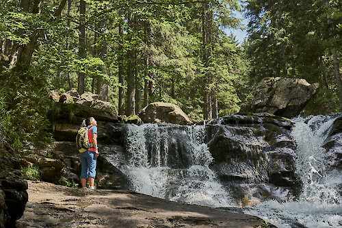 Rißlochwasserfälle im Sommer