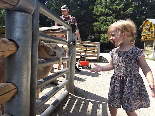 Tierpark Lohberg - Lilly und Ziegen
