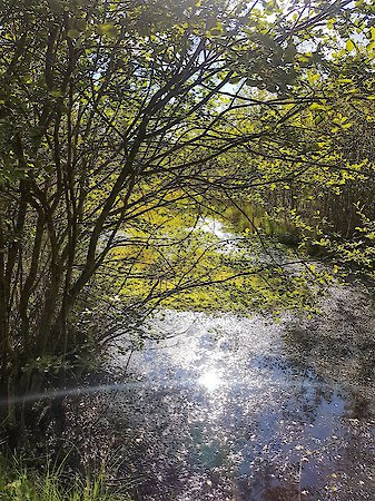 Naturerlebnis Wistlberg