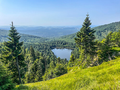 Blick auf den Rachelsee im Bayerischen Wald