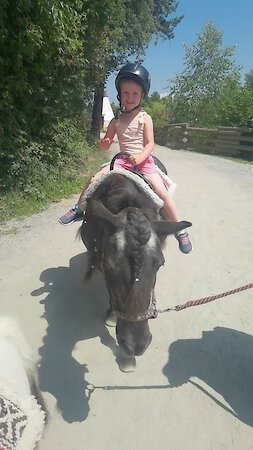 Pullman City