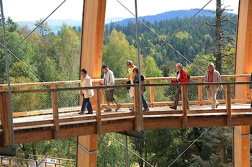 Wandern am Baumwipfelpfad im Bayerischen Wald