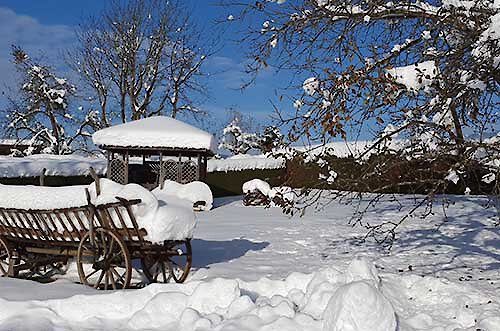 Verschneiter Wintergarten mit einem alten hölzernen Heuwagen vor blauem Himmel