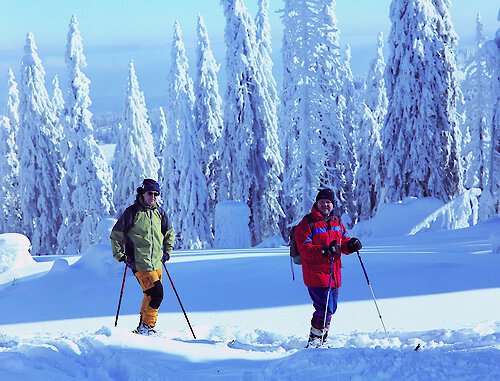 Winter im Bayerischen Wald