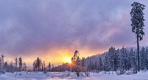 Winterlandschaft Bodenmais