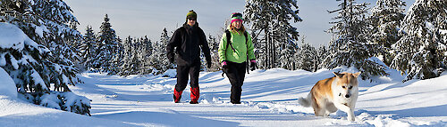 Winter im Bayerischen Wald
