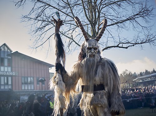 Furchterregende Perchtenfigur mit Hörnern und Zottelfell beim Winterbrauchtumsevent im JOSKA Glasparadies – beeindruckende Show mit Tradition.