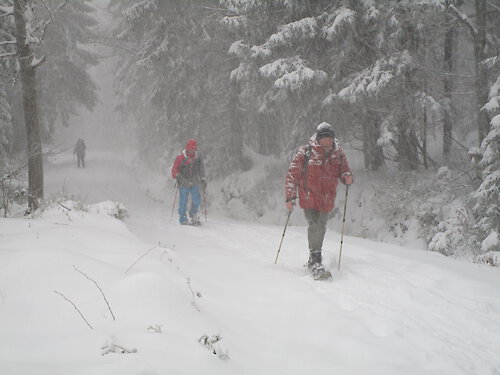 Schneeschuhtour auf den Lusen mit dem Hochriegel Wanderclub