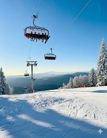 Winter in Mitterdorf