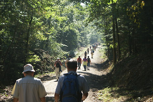 Ilztalwanderung