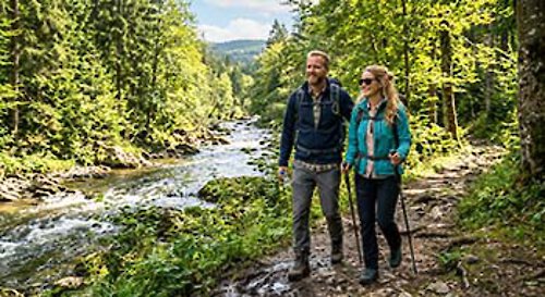 Wandern im Bayerischen wald