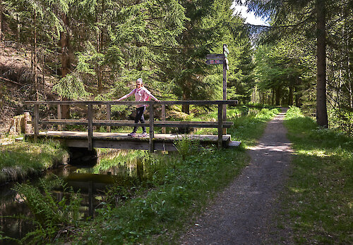 Bayerischer Wald Wanderweg