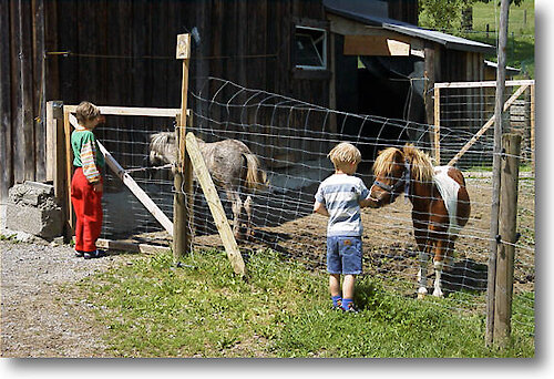 Urlaub mit Kindern und Tieren im Bayerischen Wald