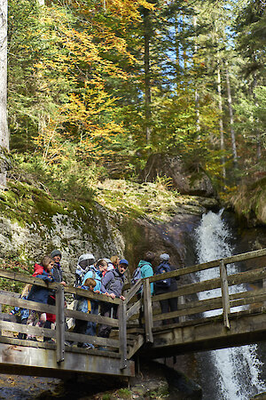 Herbst-Wanderung