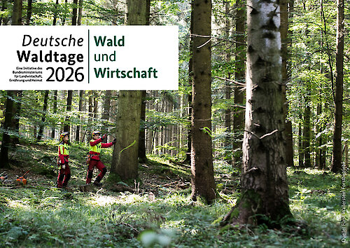 Die Deutschen Waldtage stehen dieses Jahr unter dem Motto „Wälder & Wirtschaft“